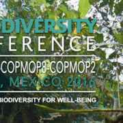 Cancun Biodiversity Conference